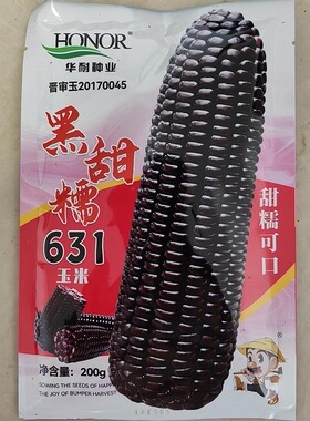 黑甜糯631玉米种子晚熟非转基因黑紫色玉米种籽口感软糯200克装