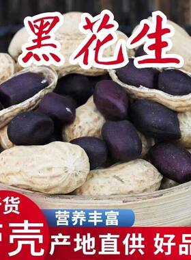 黑花生种子带壳富硒黑色高产花生原种农家自选大田播种黑紫花生种