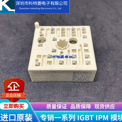 SKIIP13NEB066V1模块变频器配件