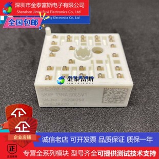 现货 SKIIP13NAB065V1模块 质量保证 全新原装 可直拍 变频器配件
