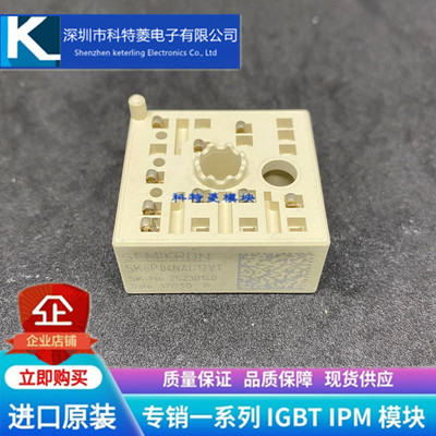 SKIIP04NAD12V1模块变频器配件