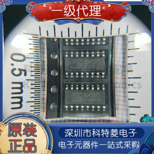 8D423TS遥控车接收五功能带马达