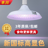 丰川新国标LED生鲜灯猪肉国标市场照明灯LED白光灯暖白灯自然光