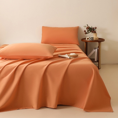 纯棉加厚磨毛床单单件100全棉秋冬季单人宿舍被单枕套三件套冬天