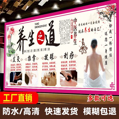 中医理疗养生海报养生之道挂画九种体质辨识望闻问切装饰壁画墙贴