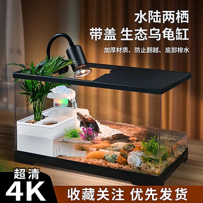 乌龟孵化成长仓养殖饲养儿童科学套装玩具冬眠观察孵蛋实验家用