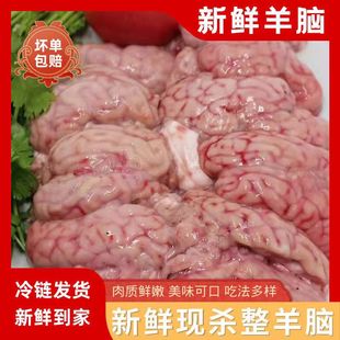 羊脑新鲜清真冷冻羊脑髓脑花鲜羊脑真空生羊脑烧烤火锅食材3斤装