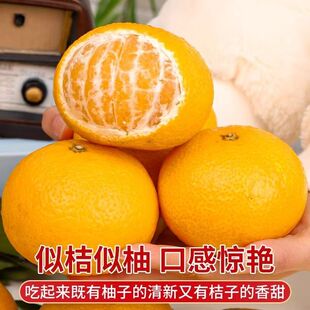 现摘福建平和甜桔柚新鲜水果柚子甜心柚黄金贡柚橘柚孕妇甜心桔子