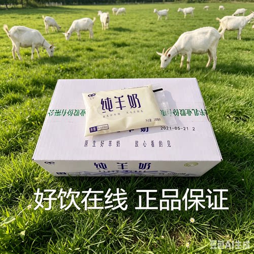 九羊纯羊奶透明袋原生早餐奶九羊