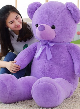 紫色薰衣草小熊公仔泰迪熊毛绒玩具抱抱熊猫玩偶布娃娃生日礼物女