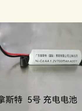 适用广东拿斯特国际照明电池 Ni-Cd AA 1.2V 700mAh A001充电电池