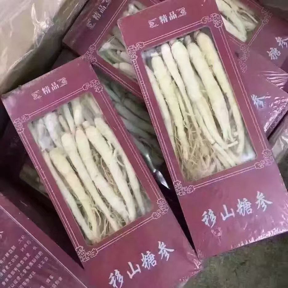 移山糖参白糖参泡参整支泡节参小儿二参汤开胃促食欲人参条盒装