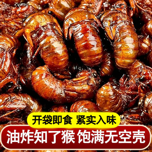 香酥知了猴油炸金蝉蛹油炸即食五香多口味唐僧肉虫子爬叉结了龟
