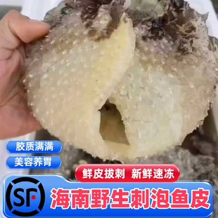 海南刺泡鱼皮刺豚鱼皮刺龟鱼皮新鲜鱼皮拔刺速冻海鲜煲汤暧胃