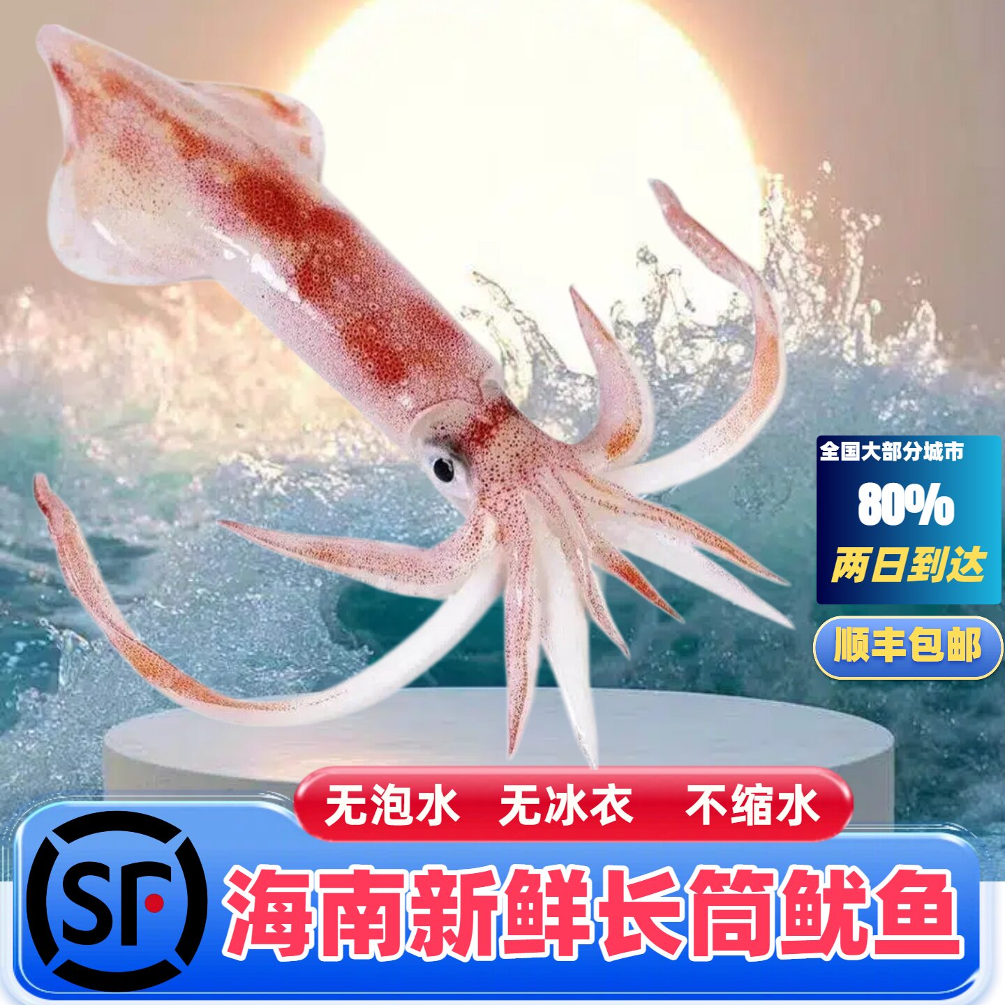 海南海捕长筒鱿鱼新鲜鱿鱼鲜活速冻真空包装长管鱿鱼海鲜顺丰包邮