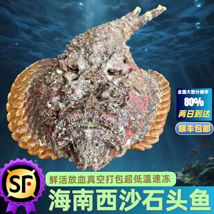 海南西沙石头鱼玫瑰毒鮋肉质细嫩新鲜海鱼鲜活速冻真空顺丰包邮