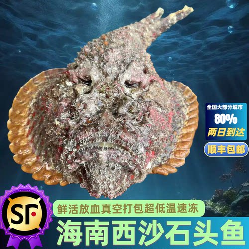 海南西沙石头鱼玫瑰毒鮋肉质细嫩新鲜海鱼鲜活速冻真空顺丰包邮