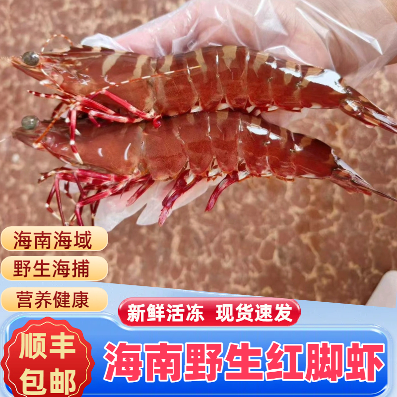 海南海捕红脚虾红爪虾红虾天然海鲜海虾新鲜鲜活冷冻顺丰包邮