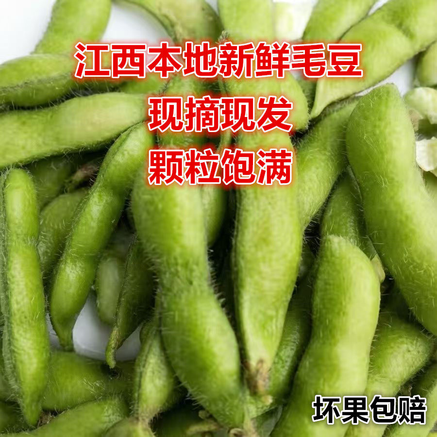新鲜毛豆青豆当季农家自种蔬菜现摘现发豆角豆荚家商用江西农产品