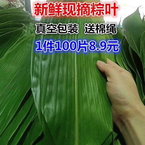 粽子叶新鲜粽叶野生箬叶大号100片免邮包粽子叶子非芦苇叶送棉绳