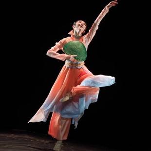 越女词舞蹈服装古典舞演出服独舞剧目表演服中国舞同款艺考服