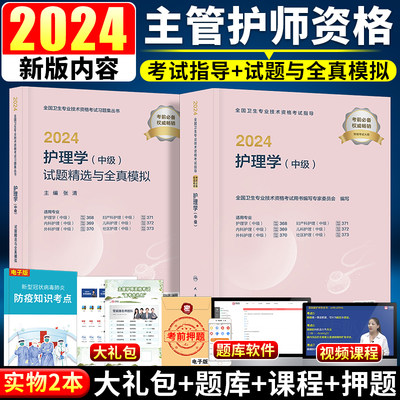 主管护师中级2024年护理学人卫