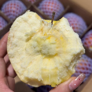 粉面香甜沙糯软秦冠苹果甜可刮泥宝宝辅食大果高原红苹果非花牛果