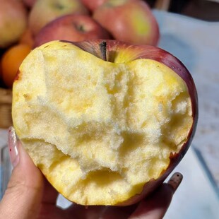 老树粉面沙甜软苹果】秦冠甜苹果新鲜老人宝宝辅食刮泥非花牛苹果