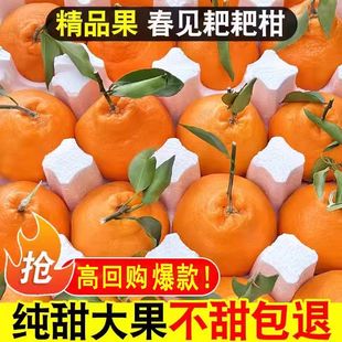 正宗四川春见耙耙柑很甜粑粑柑9/5斤橘子甜当季新鲜水果丑柑桔