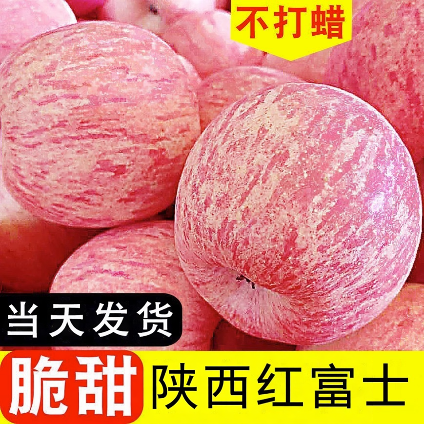 脆甜红富士苹果新鲜水果冰糖心脆甜当季大果非陕西洛川红富士苹果