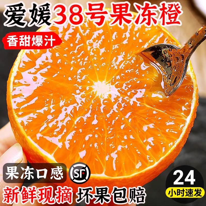 四川爱媛38号果冻橙新鲜当季孕妇水果柑橘蜜桔手剥橙9斤整箱包邮