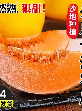现摘民勤黄河蜜瓜当季新鲜水果脆甜田瓜香瓜羊角瓜哈密瓜大果包邮