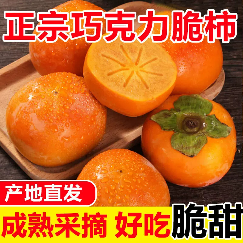 现摘阳丰巧克力脆柿子当季新鲜水果9斤脆甜硬柿子特大非火晶整箱