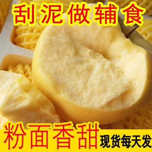 粉面沙甜软糯黄元帅苹果新鲜水果宝宝刮果泥富士非秦冠花牛苹果