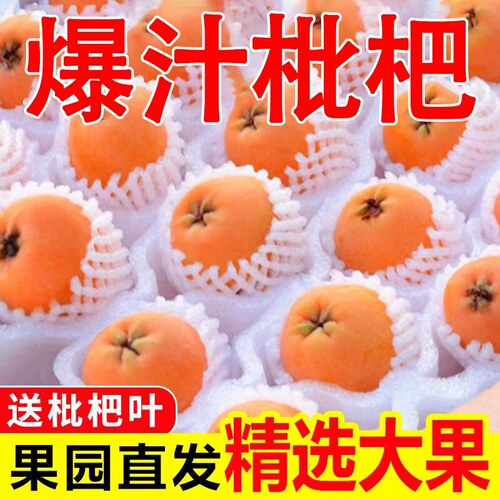 正宗四川大五星枇杷新鲜当季水果清甜现摘米易琵琶叶鲜果整箱包邮