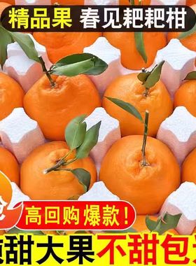 正宗四川春见耙耙柑很甜粑粑柑9斤橘子甜当季整箱新鲜水果丑柑桔