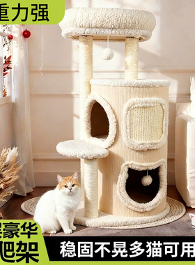 猫爬架家用小型不占地猫架大猫专用猫抓板猫爬架一体四季通用猫窝