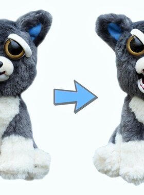 Feisty Pets: Sammy Suckerpunch- Adorable 8.5