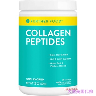 Peptides Collagen Pure Protein Unflavore Further Powder Food