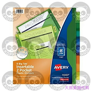 Two Pocket Insertable Avery Dividers Tab Plastic Big