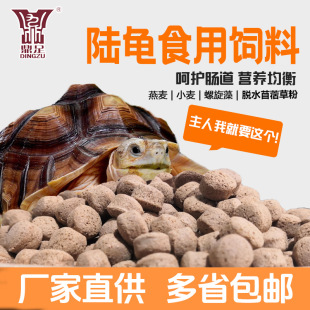 陆龟粮饲料森林沙漠旱地辐射红腿马祖龟螺旋藻乌龟龟食颗粒型