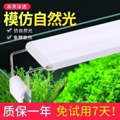 增艳灯小夜灯照明灯led鱼缸灯电灯级变色全光谱水草爆藻专用彩灯