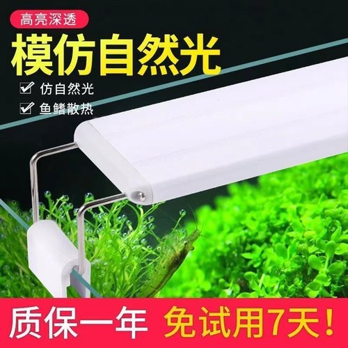 roxin鱼缸爆藻灯厂家直销