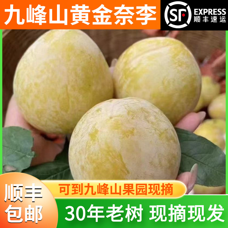 正宗乐昌九峰山新鲜水果黄金奈李李子脆甜贡果现摘10斤特大果包邮