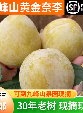正宗乐昌九峰山新鲜水果黄金奈李李子脆甜贡果现摘10斤特大果包邮