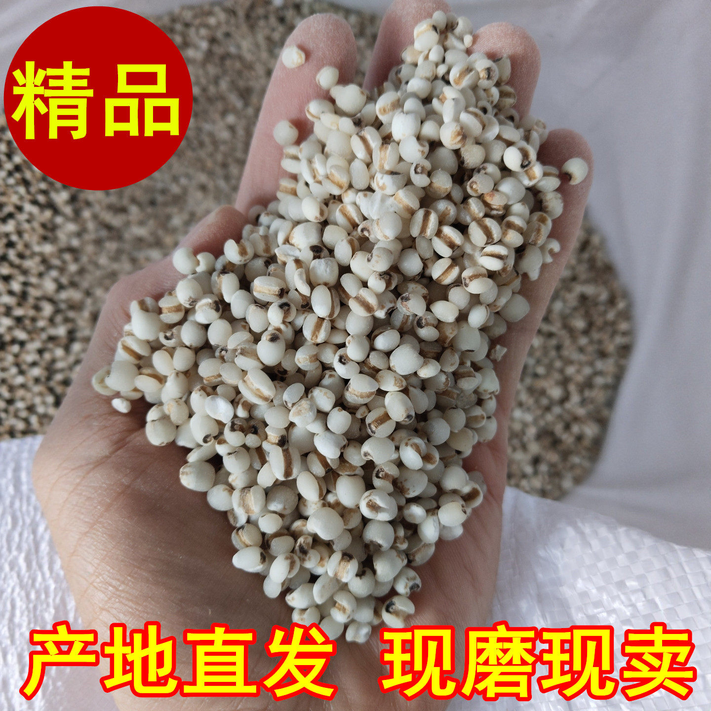 福建仙游金沙薏米仁2025新货农家优质杂粮薏仁米药用薏苡仁小薏米