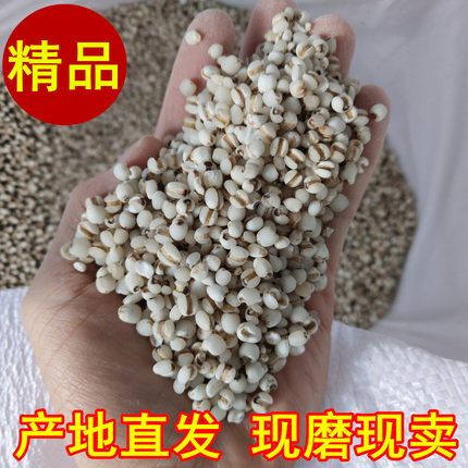 福建仙游金沙薏米仁新货正宗农家优质杂粮薏仁米药用薏苡仁小薏米