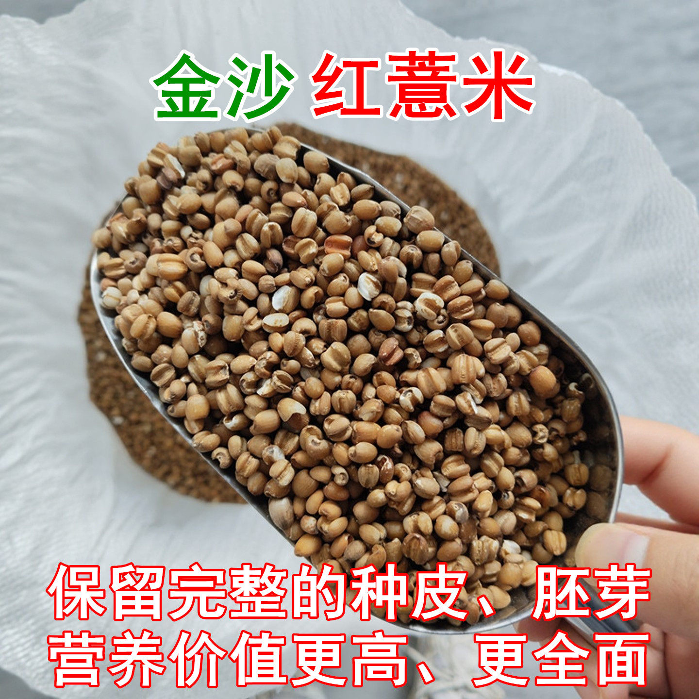 金沙红薏米小薏米仁薏仁米红薏米仁新货药用苡仁福建仙游金沙薏米