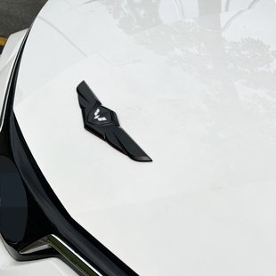 五菱车标改装宏光s缤果引擎盖装饰金属配件星光s星驰通用个性车贴