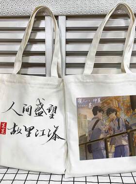 晋江小说木苏里某某帆布袋